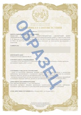 Образец Сертификат СТО 01.064.00220722.2-2020 Набережные Челны Сертификат СТО 01.064.00220722.2-2020 