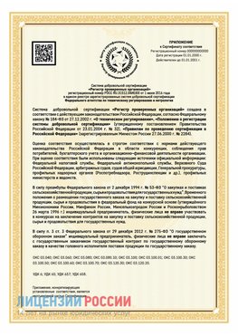 Приложение к сертификату для ИП Набережные Челны Сертификат СТО 03.080.02033720.1-2020