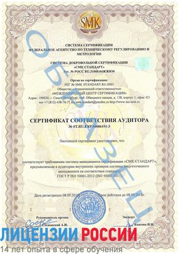 Образец сертификата соответствия аудитора №ST.RU.EXP.00006191-3 Набережные Челны Сертификат ISO 50001