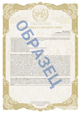 Образец Приложение к СТО 01.064.00220722.2-2020 Набережные Челны Сертификат СТО 01.064.00220722.2-2020 